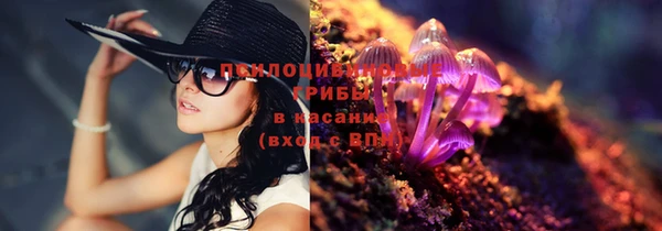 2c-b Бронницы