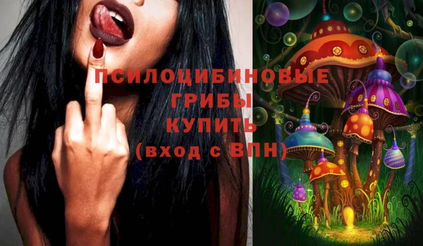 соль ск Бородино
