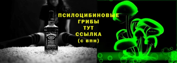 2c-b Бронницы